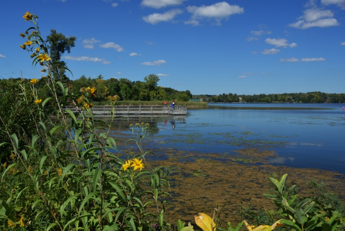 pier on Maxwell Bay, Lake Minnetonka